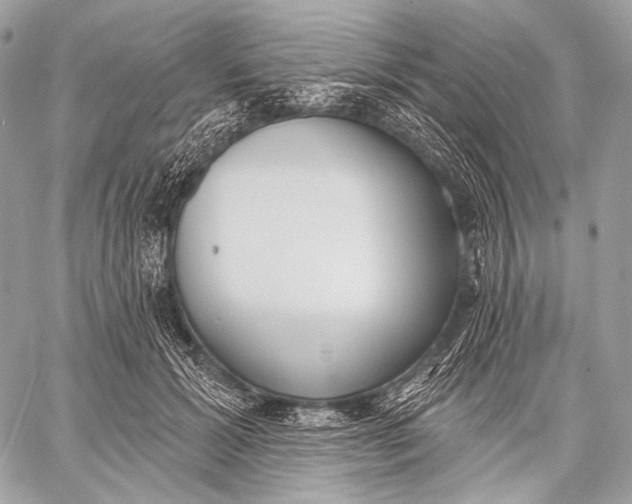 X0000059040605200510281544