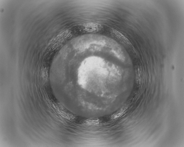 X0000059040606200510281544