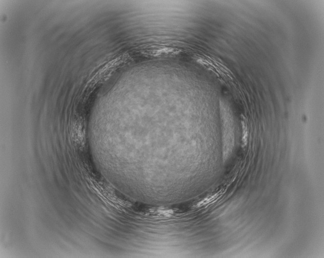 X0000059040607200510281544