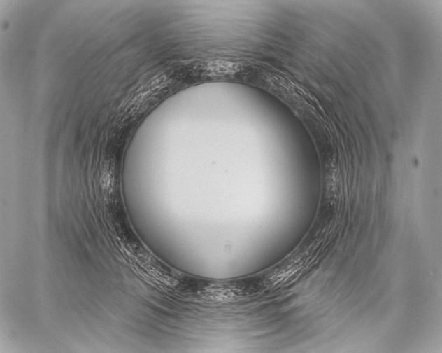 X0000059040608200510281544