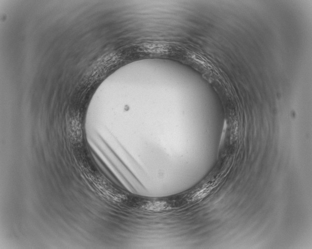 X0000059040609200510281544