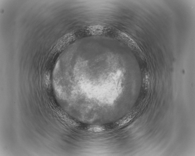 X0000059040610200510281544