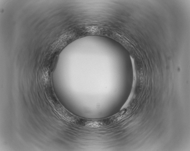 X0000059040611200510281544