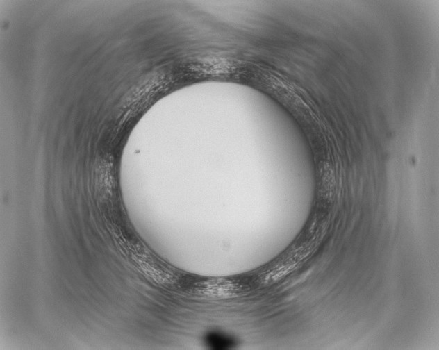 X0000059040612200510281544