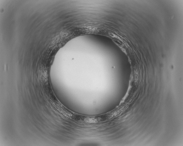 X0000059040613200510281544