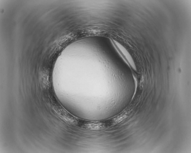 X0000059040615200510281544