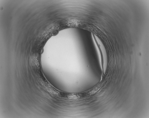 X0000059040616200510281544