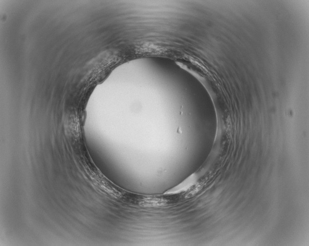 X0000059040617200510281544