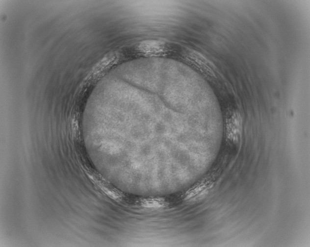 X0000059040618200510281544