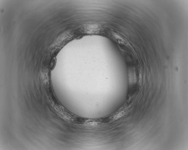 X0000059040620200510281544