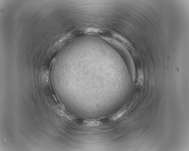 X0000059040621200510281544