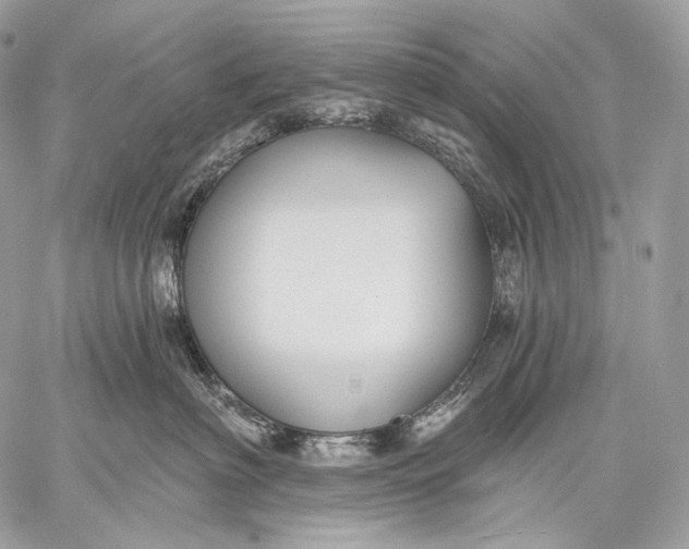 X0000059040622200510281544