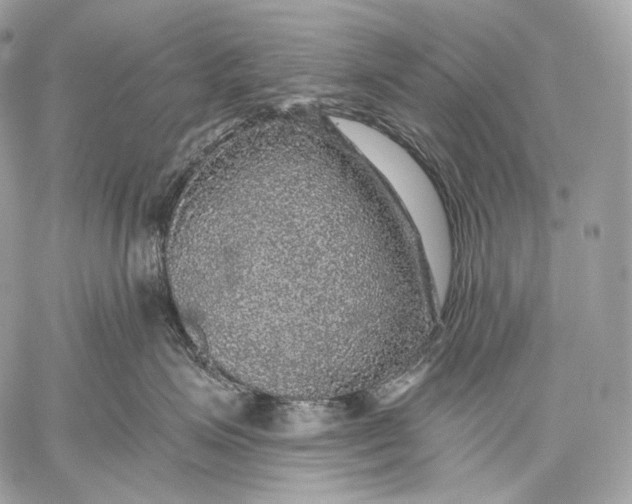 X0000059040623200510281544