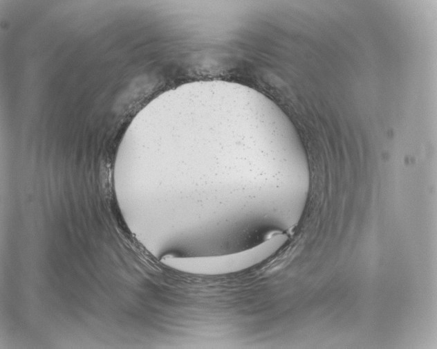 X0000059040624200510281544