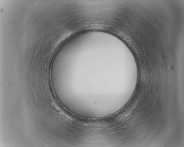 X0000059040625200510281543