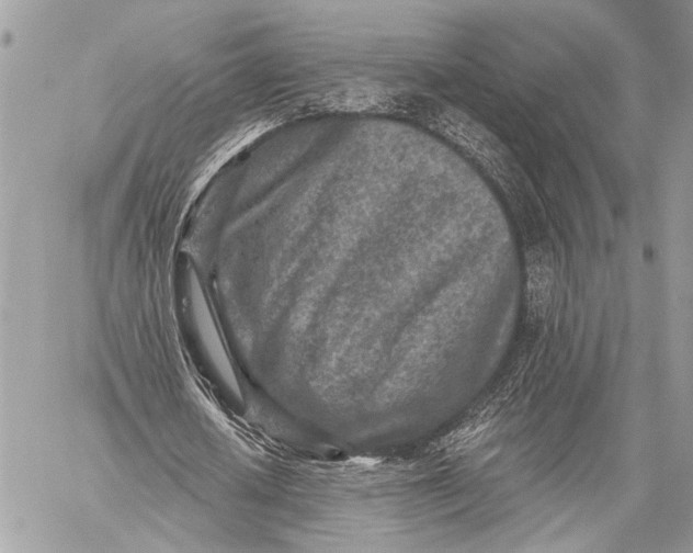 X0000059040626200510281543