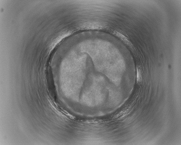 X0000059040627200510281543