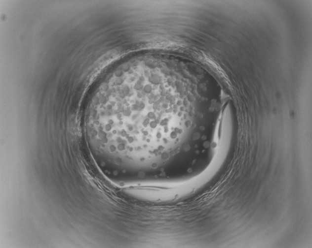 X0000059040628200510281543