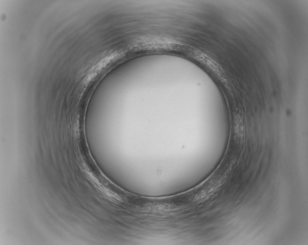 X0000059040629200510281543