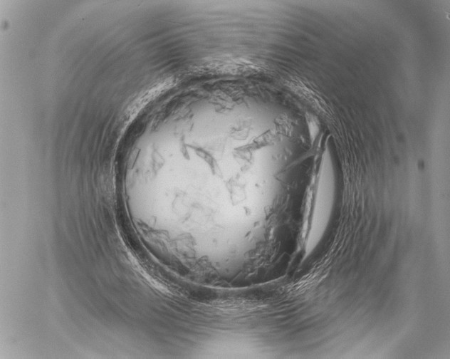 X0000059040630200510281543