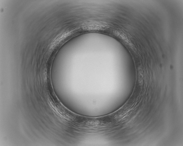 X0000059040631200510281543