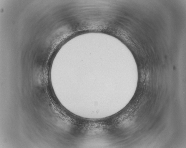 X0000059040632200510281543