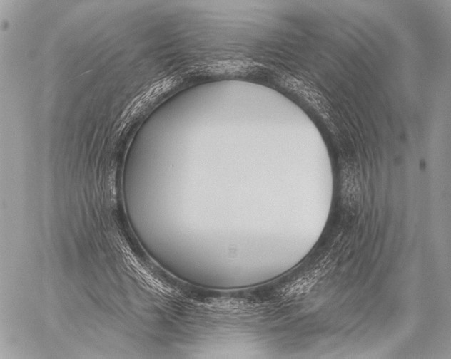 X0000059040633200510281543