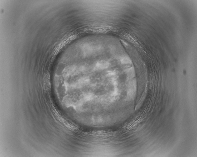 X0000059040634200510281543