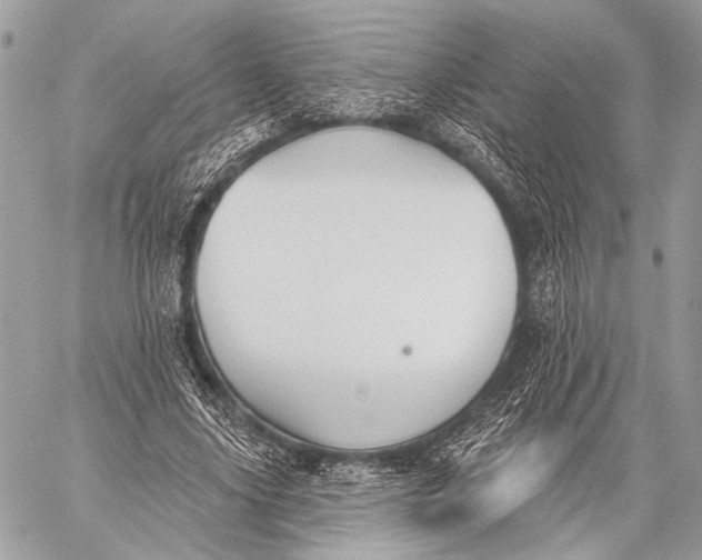 X0000059040635200510281543