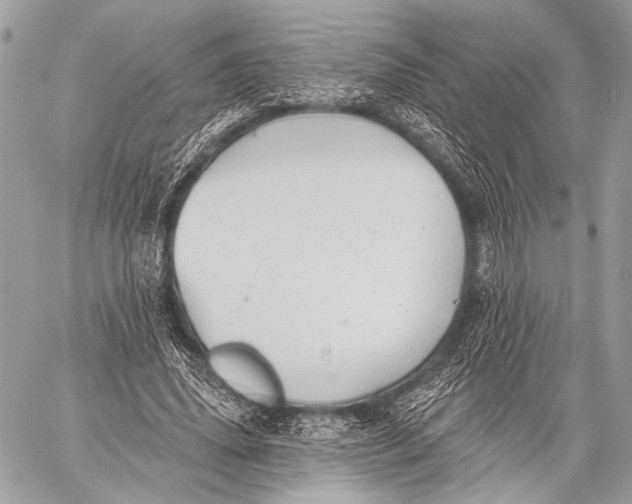 X0000059040636200510281543