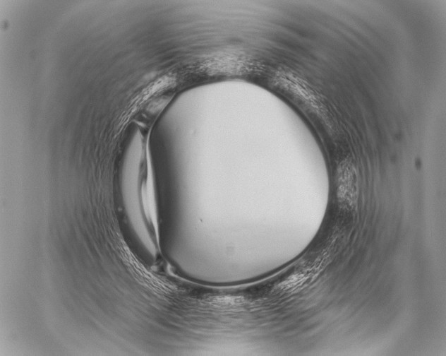 X0000059040637200510281543