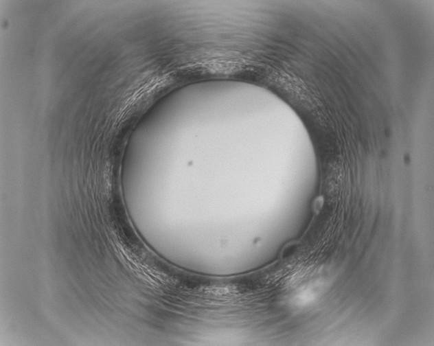 X0000059040639200510281543