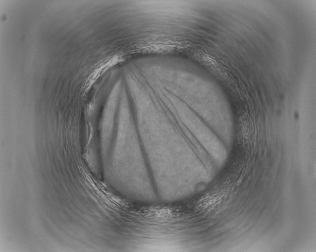 X0000059040640200510281543