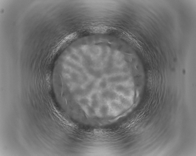 X0000059040641200510281543