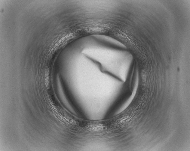 X0000059040642200510281543