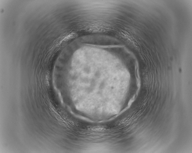 X0000059040643200510281543