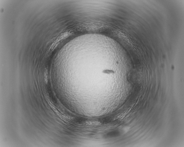 X0000059040644200510281543