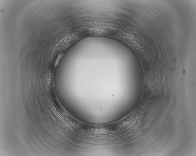 X0000059040645200510281543