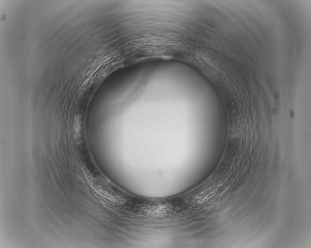 X0000059040646200510281543