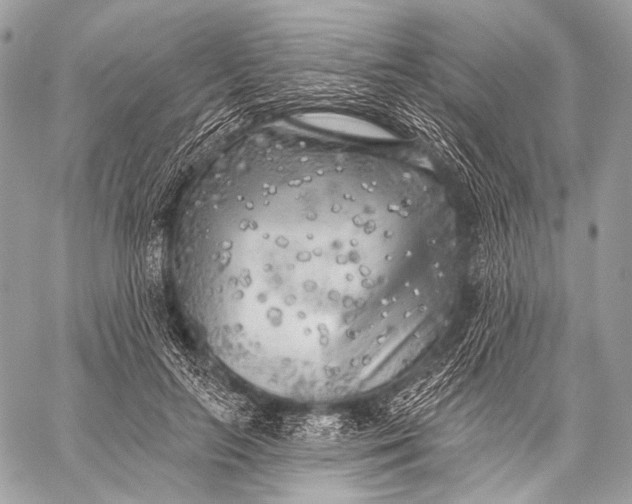 X0000059040647200510281543