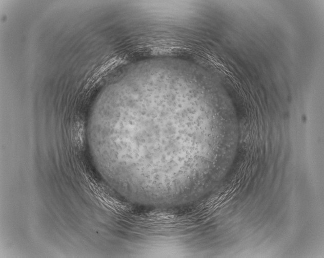 X0000059040648200510281543