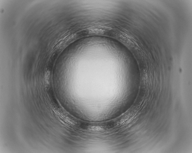 X0000059040649200510281543