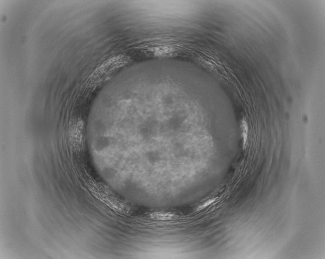 X0000059040650200510281543