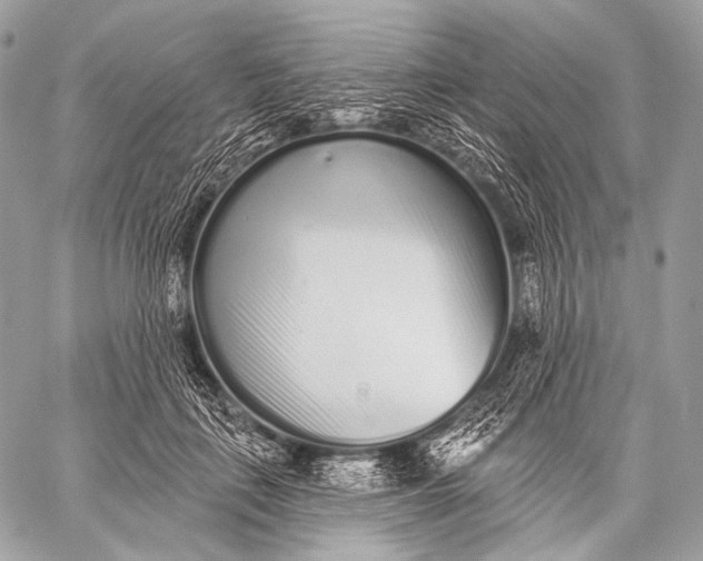 X0000059040651200510281543