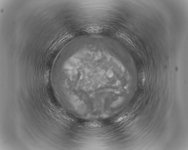 X0000059040652200510281543