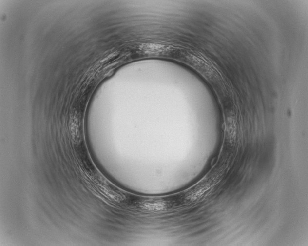 X0000059040653200510281543