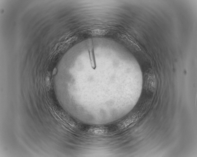 X0000059040655200510281543