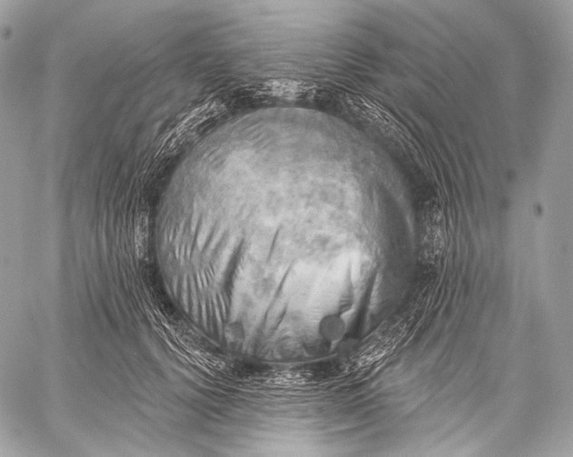 X0000059040656200510281543