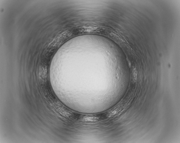 X0000059040657200510281543