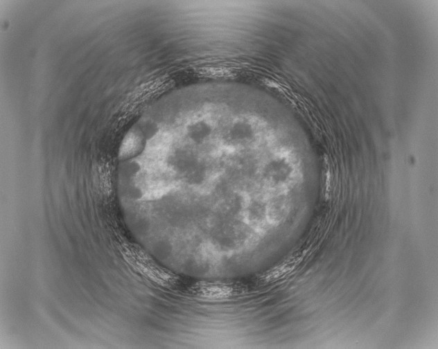 X0000059040658200510281543